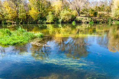Sonbaharda nehir, yılın altın zamanı.