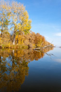 Sonbahar nehri, Sonbahar ağaçları altın içinde