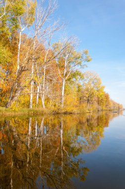 Sonbahar nehri, Sonbahar ağaçları altın içinde