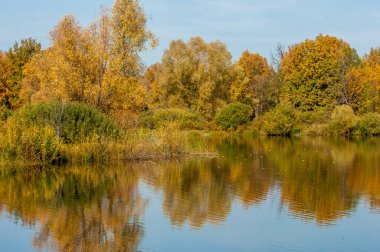 Sonbahar manzarası. Milli parktaki güzel sonbahar ormanı.