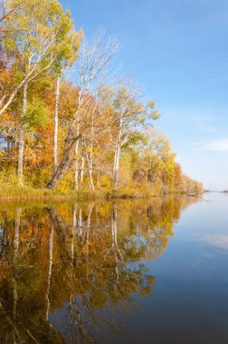 Sonbahar nehri, Sonbahar ağaçları altın içinde