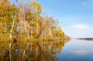 Sonbahar nehri, Sonbahar ağaçları altın içinde