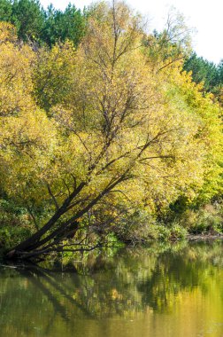 Sonbaharda nehir, yılın altın zamanı.