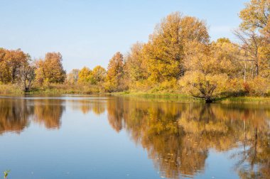 Sonbahar manzarası. Gölün üzerinde güzel bir sonbahar yeşilliği.