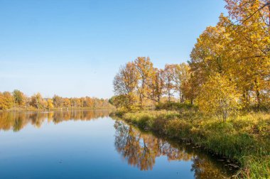 Sonbahar manzarası. Gölün üzerinde güzel bir sonbahar yeşilliği.