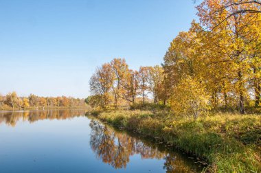 Sonbahar manzarası. Gölün üzerinde güzel bir sonbahar yeşilliği.