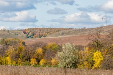 Sonbahar yaprak döken orman, güneşli bir gün