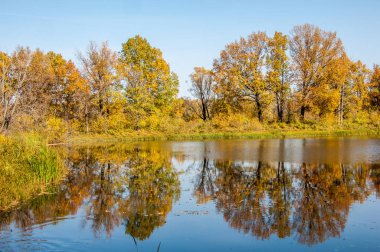 Sonbahar manzarası. Gölün üzerinde güzel bir sonbahar yeşilliği.