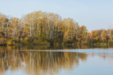 Sonbahar nehri, Sonbahar ağaçları altın içinde