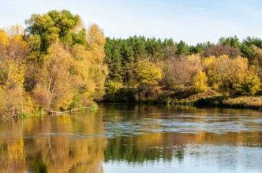 Sonbahar, nehrin ormanı ile kaplı parlak güneşli bir günde