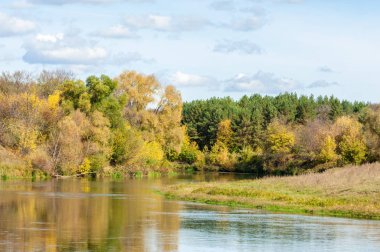 Sonbahar, nehrin ormanı ile kaplı parlak güneşli bir günde