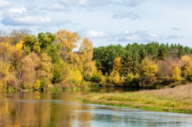 Sonbahar, nehrin ormanı ile kaplı parlak güneşli bir günde