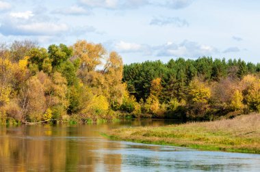 Sonbahar, nehrin ormanı ile kaplı parlak güneşli bir günde
