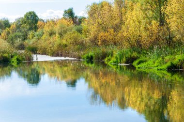 Sonbahar, nehrin ormanı ile kaplı parlak güneşli bir günde