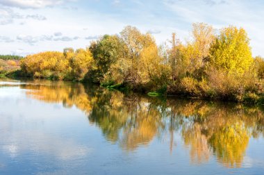 Sonbahar, nehrin ormanı ile kaplı parlak güneşli bir günde