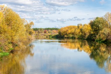 Sonbahar, nehrin ormanı ile kaplı parlak güneşli bir günde