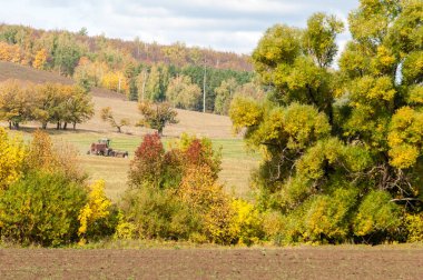 Sonbahar sürülmüş alan, bir büyük söğüt ağacı hasat çim biçme