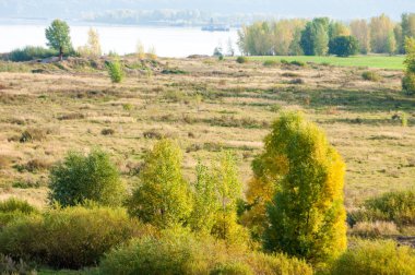 Nehir kenarındaki sonbahar çayırları