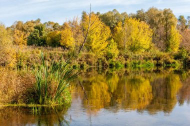 Sonbaharda nehir, yılın altın zamanı.