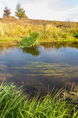 Sonbaharda nehir, yılın altın zamanı.