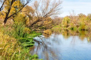 Sonbaharda nehir, yılın altın zamanı.
