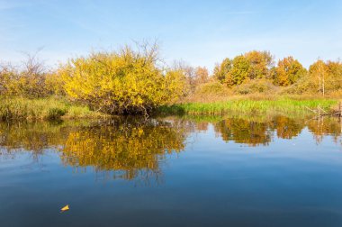 Sonbahar nehri, Sonbahar ağaçları altın içinde