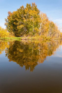 Sonbahar nehri, Sonbahar ağaçları altın içinde