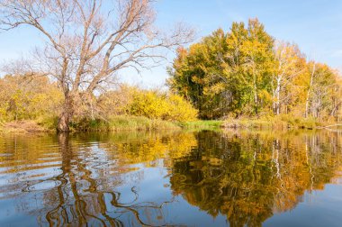 Sonbahar nehri, Sonbahar ağaçları altın içinde