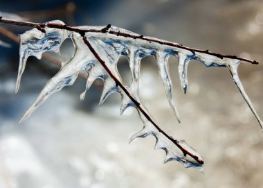 Buz saçakları