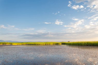 Bozkır yaz. Turgai Kaydet. Çölde Gölü