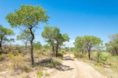 Bozkır yaz. Turgai Kaydet. Çölde Gölü
