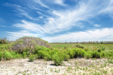 Bozkır, çayır, veld, veldt