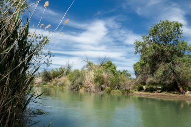 Bozkır, çayır, veld, veldt
