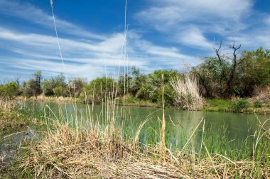 Bozkır, çayır, veld, veldt