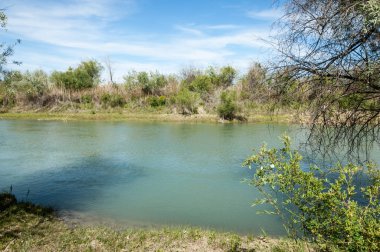 Bozkır, çayır, veld, veldt