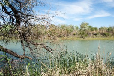 Bozkır, çayır, veld, veldt