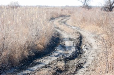 Baharın başında bozkır. Doğa, seyahat