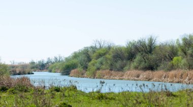Bozkır, çayır, veld, veldt. 