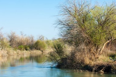 Çöle yakın. Çöl. Bozkır. nehir