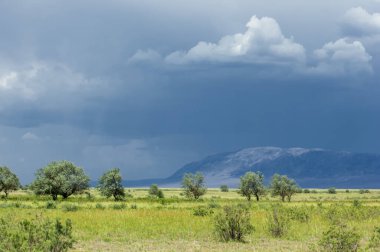 Bozkır, bozkır, bozkır, bozkır. Eş anlamlılar: düzlükler, çayırlar. açık, ekili olmayan ülke veya çayır