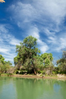 Bozkır, çayır, veld, veldt