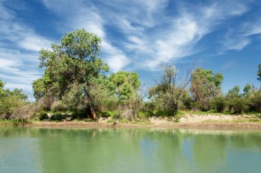 Bozkır, çayır, veld, veldt