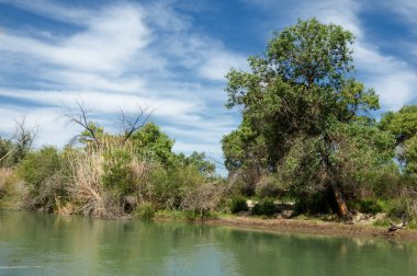 Bozkır, çayır, veld, veldt