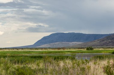 Bozkır, çayır, veld, veldt. 