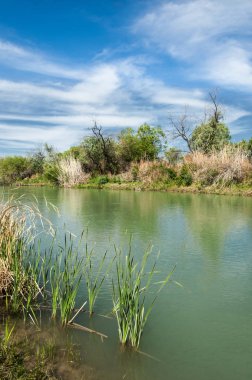 Bozkır, çayır, veld, veldt