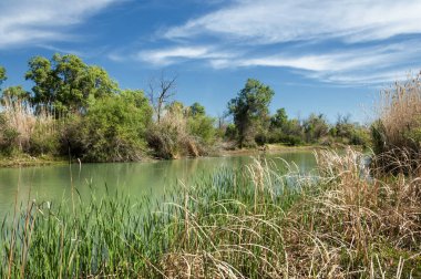 Bozkır, çayır, veld, veldt