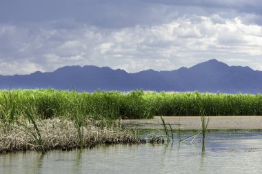 Steppe 'deki nehir. Çayır