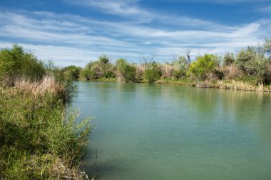 Bozkır, çayır, veld, veldt