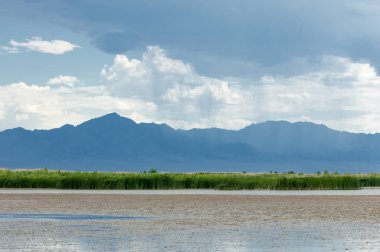 Steppe 'deki nehir. Çayır