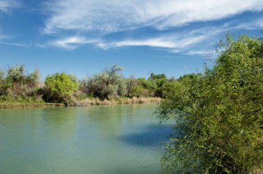 Bozkır, çayır, veld, veldt
